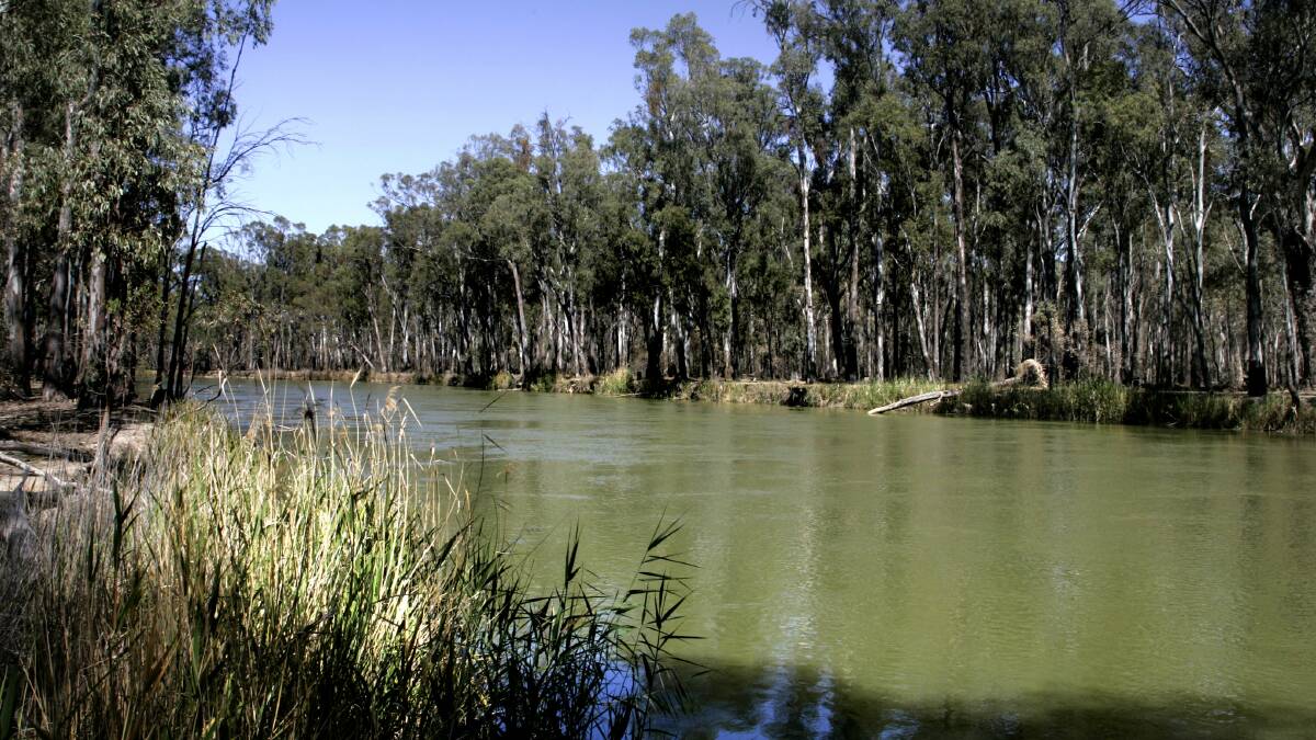 Bad tidings for mat maker as swamp choked